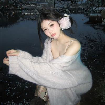 秘密使节