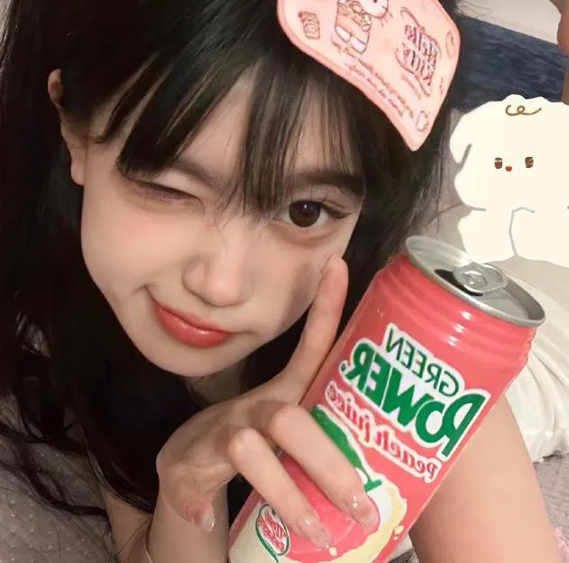 八十龟酱观察日记第一季